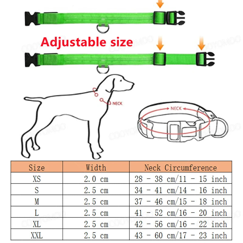 LED Dog coller