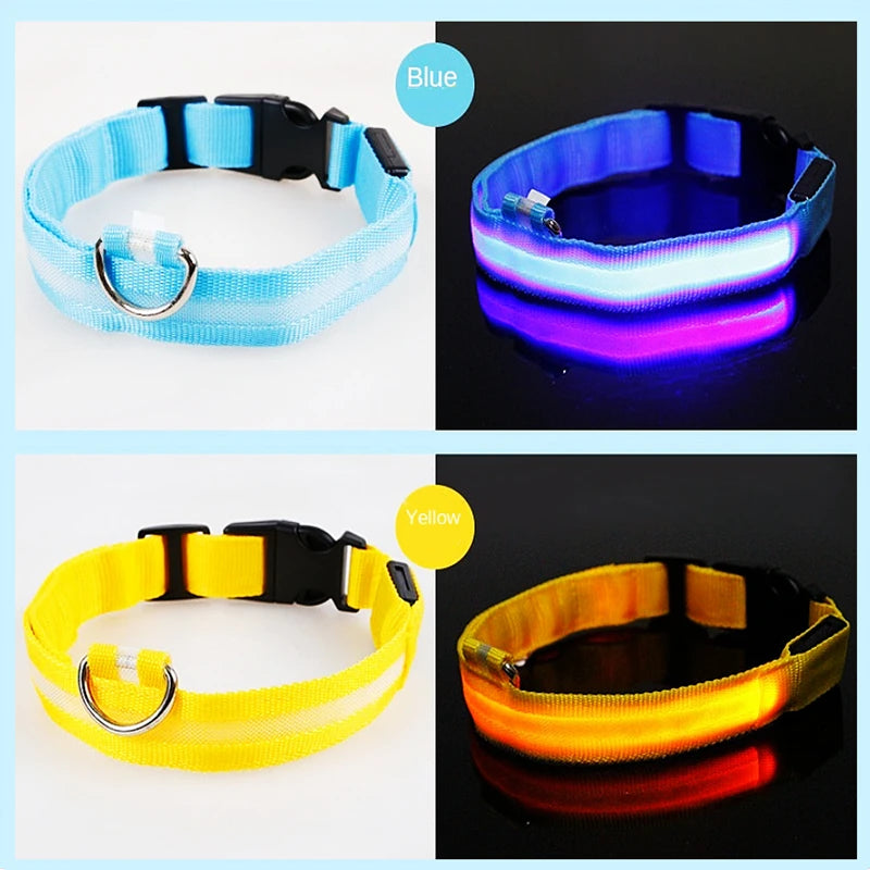 LED Dog coller