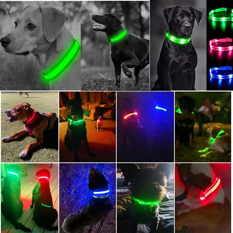 LED Dog coller