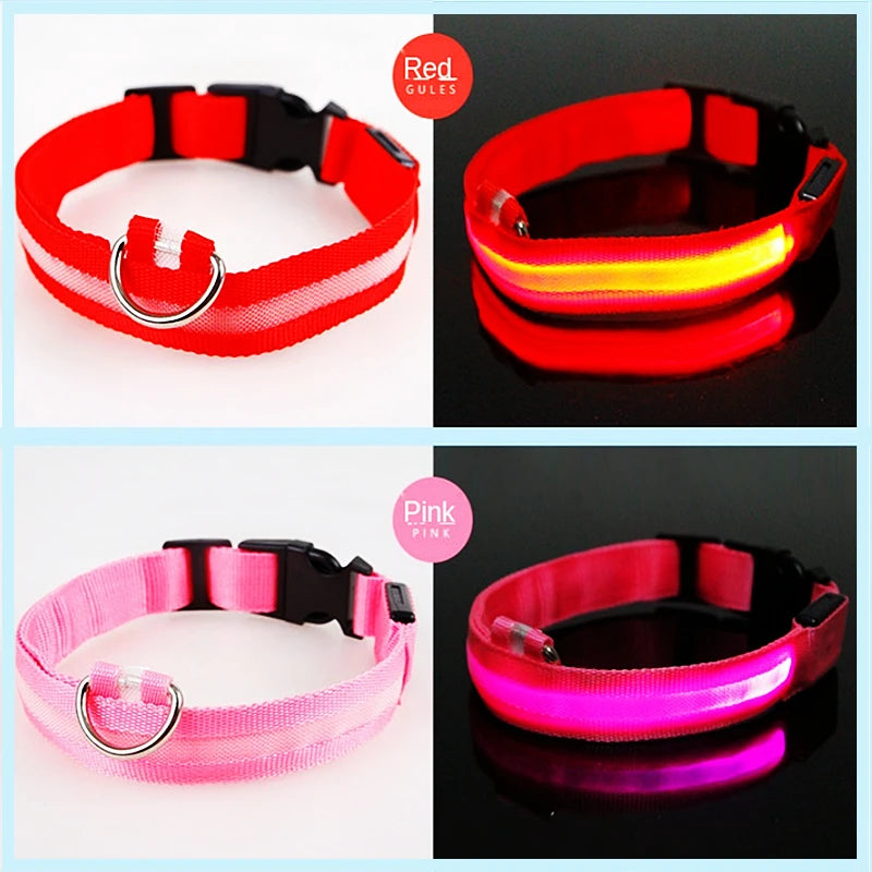 LED Dog coller