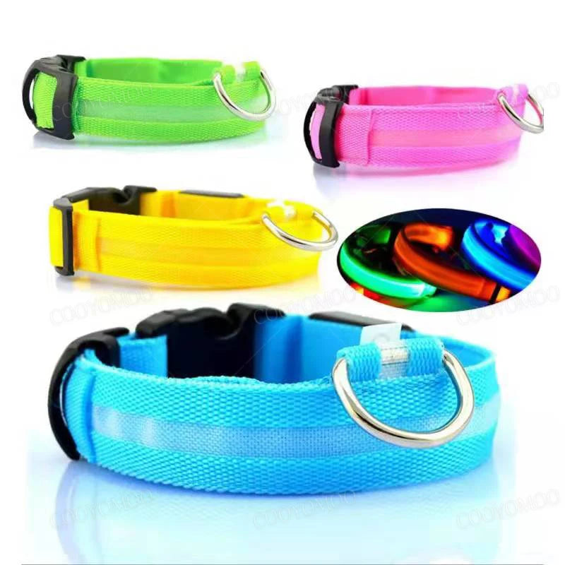 LED Dog coller