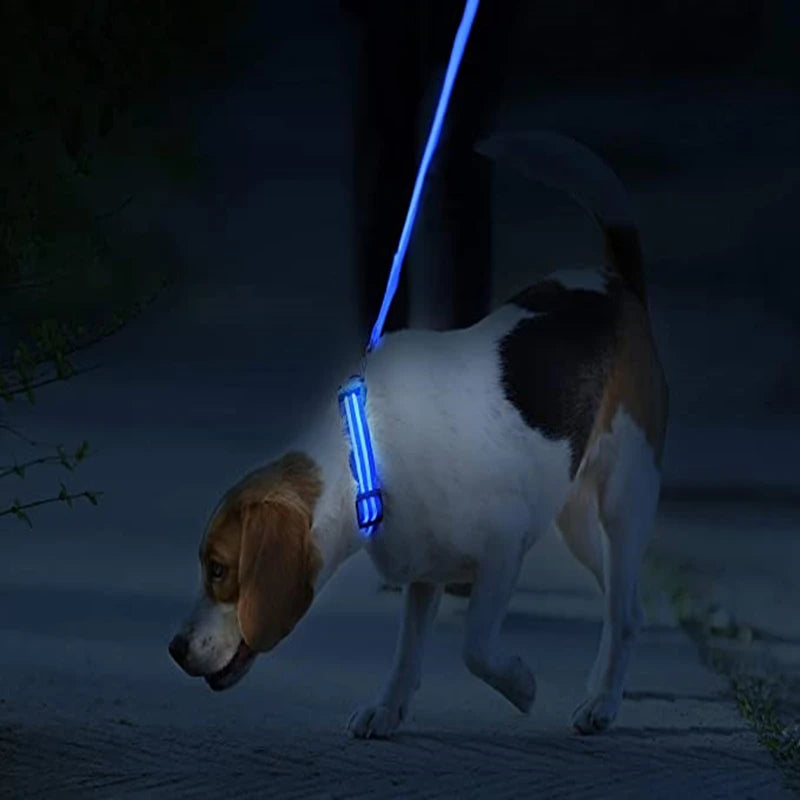 LED Dog coller