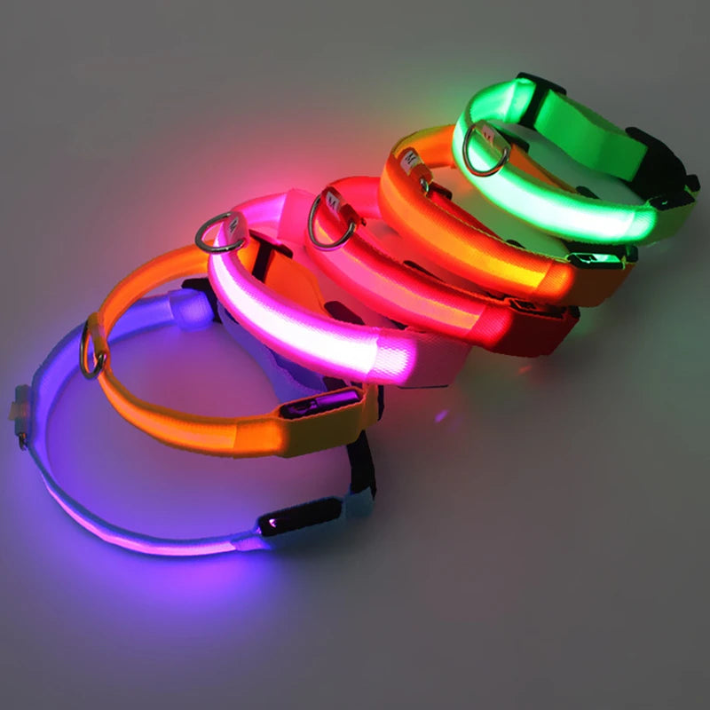 LED Dog coller