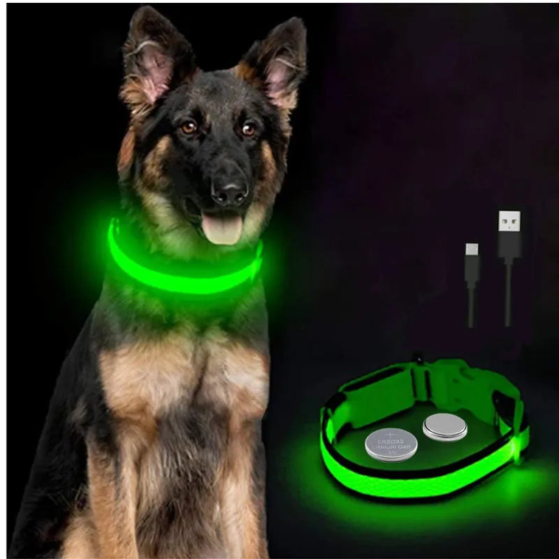 LED Dog coller