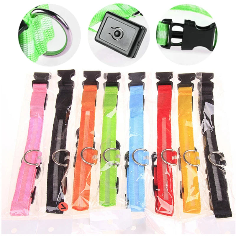 LED Dog coller