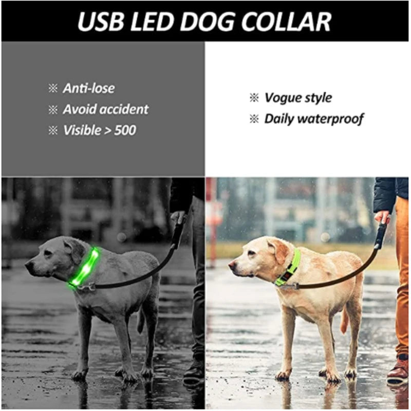 LED Dog coller