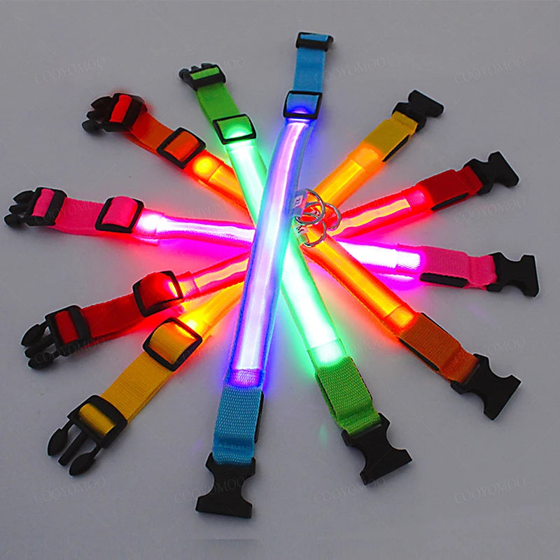 LED Dog coller