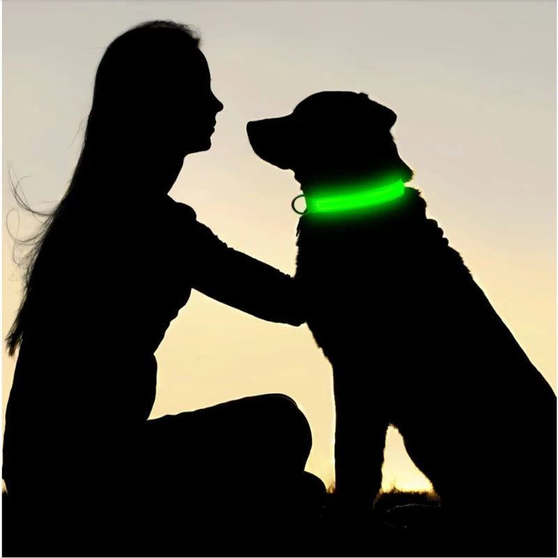 LED Dog coller