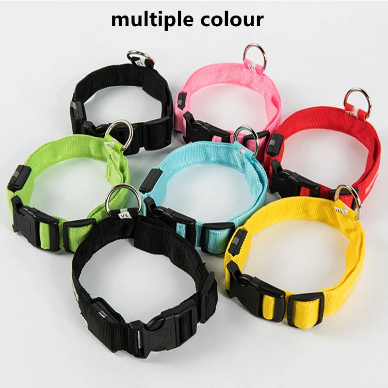 LED Dog coller