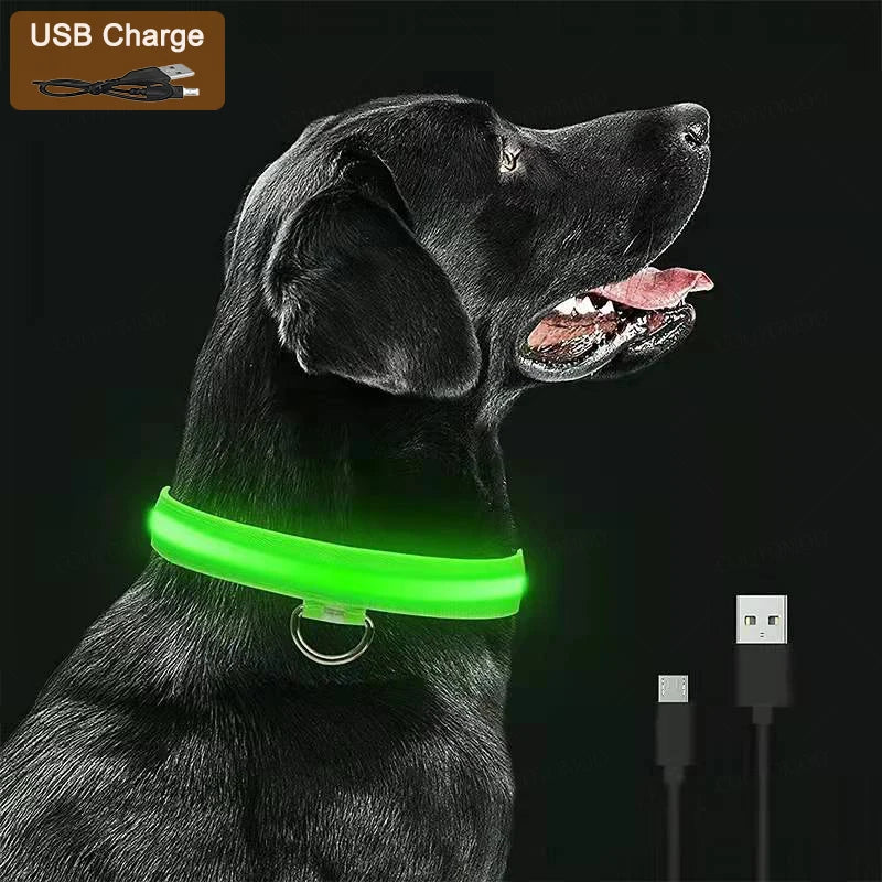 LED Dog coller